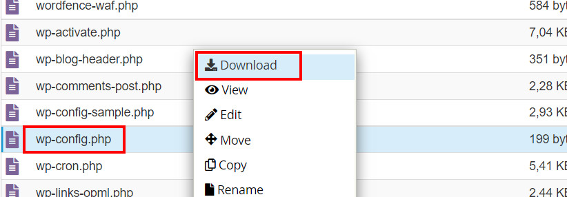 Tải file wp-config về